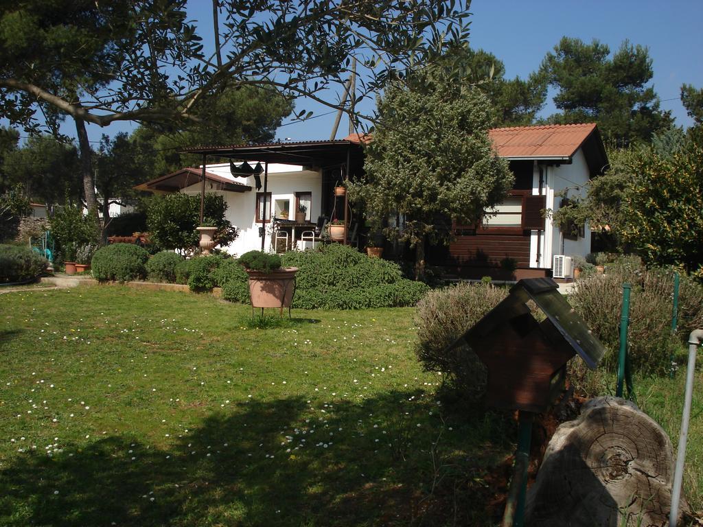 Holiday Home Julia Banjole Dış mekan fotoğraf